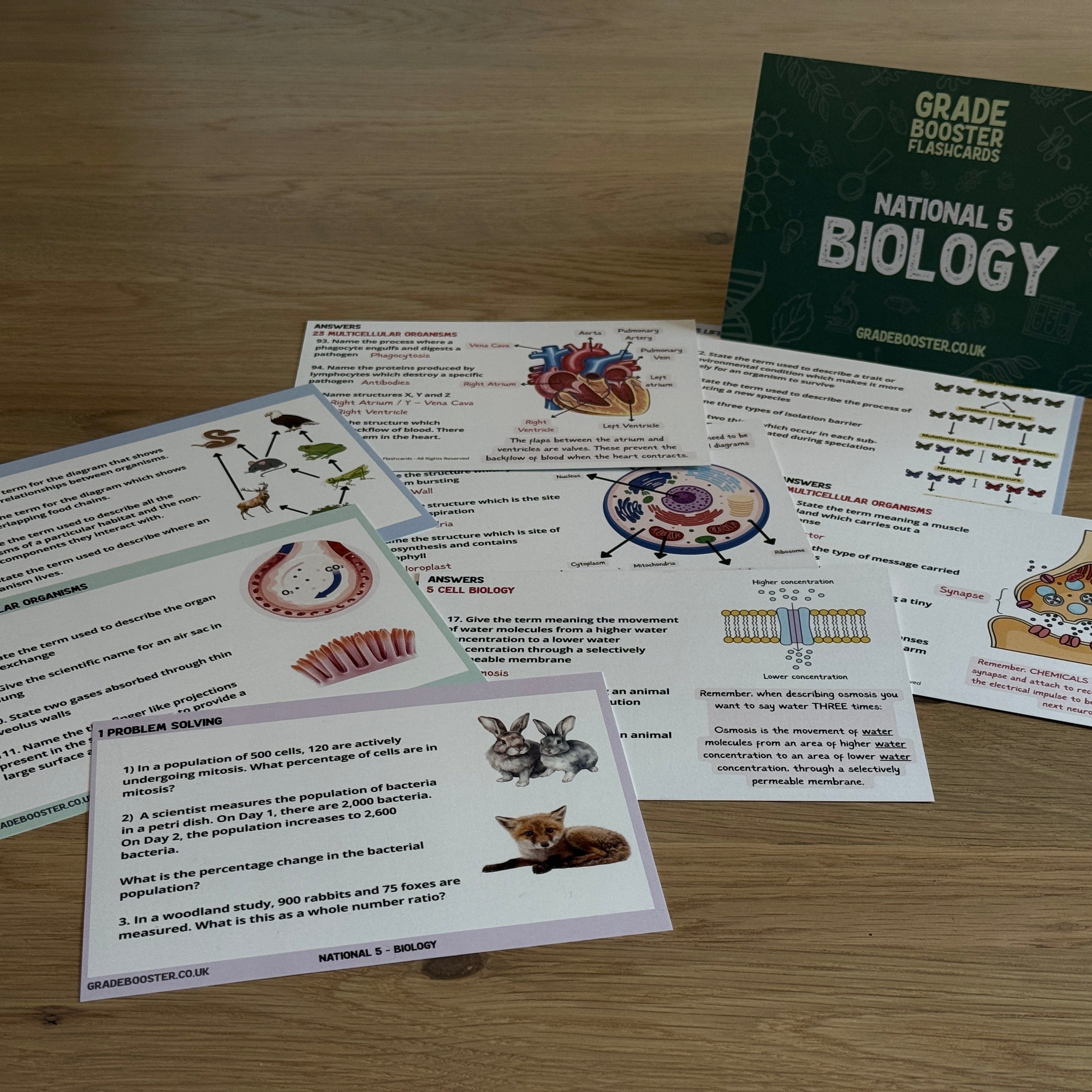 National 5 Biology Grade Booster flashcards