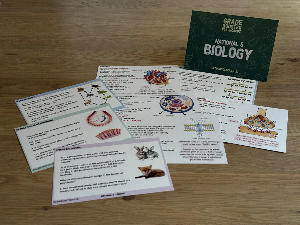 National 5 Biology Flashcards