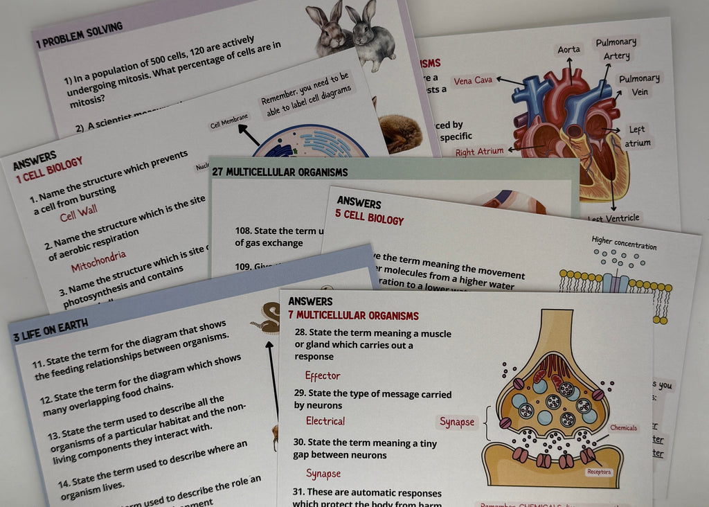 National 5 Biology Flashcards